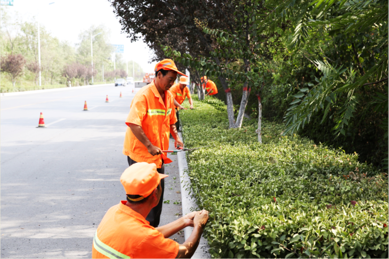 �ļ���·�B(y��ng)�o(h��)